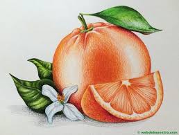 Este album de dibujos de paisajes a color faciles con 18 fotos e imágenes no tiene descripción. Dibujos A Lapiz Faciles Web Del Maestro