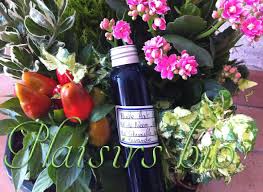 Preparez Votre Huile Anti Moustique Bio A Base D Huile Vegetale De Neem D Huiles Essentielles De Citr Fruits Et Legumes Bio Huiles Essentielles Anti Moustique