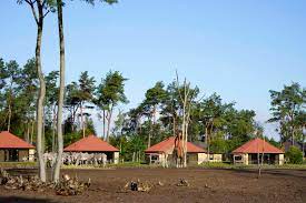 Beekse bergen safari park, tilburg: Beekse Bergen Safari Resort Afrika Feeling In Den Niederlanden