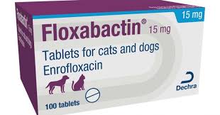 We did not find results for: Antibiotic For Treatment Of Dog And Cat Infections Vet Times