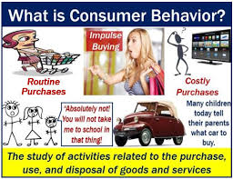 (economics) a person or organization that uses a commodity or service. Consumer Behavior Definition Meaning And Examples