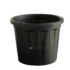 With all these great features and great value. Buy Blossom Planter Black 14 Inch Pack Of 2 Online At Plantsguru Com