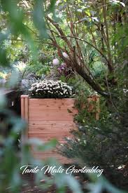Problemzonen Behandlung Im Garten Garten Vorgarten Gartentipps