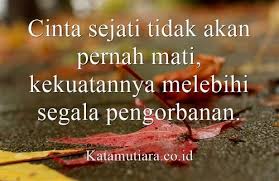 Apa itu cinta sejati menurut islam. Kumpulan Kata Kata Cinta Islami Yang Indah Nan Romantis