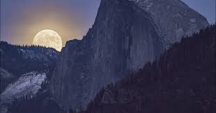 Image result for Caledonia Blue 1990 Summit