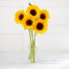 Are sunflower seedlings poisonous to cats? Sainsbury S Simply Sunflowers Bouquet Sainsbury S