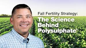 Unlock the Agronomic Advantage: Acetate Foliar Nutrition Explained