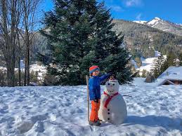 907 отметок «нравится», 14 комментариев — suíça schweiz switzerland (@suica_oficial) в instagram: Esqui Na Neve Suica Em Familia De Malas Prontas Na Web