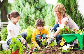 Wilko concentrated tomato feed 1l. 6 Things You Didn T Know That Can Make Your Garden Grow Faster