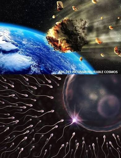 Qué es la teoría de la panspermia o el origen cósmico de la vida? ☄️ El  origen de la vida en Tierra es uno de esos enigmas fascinantes que puede  que no