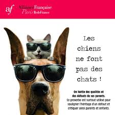 Alliance Francaise Paris Ile De France On Twitter French Expressions French Language How To Memorize Things