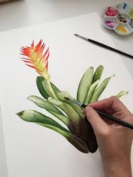 Duda Van Den Berg Aquarela Botanica Fotografia e pintura marrie ometto. duda van den berg aquarela botanica