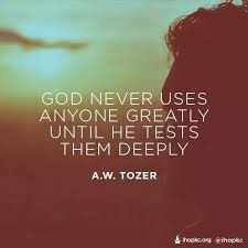 نتیجه جستجوی لغت [greatly] در گوگل