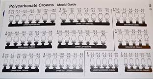 amazon com polycarbonate temporary dental crowns box kit