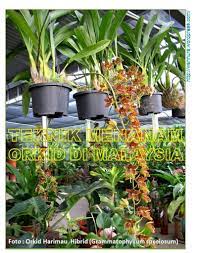 Wah menarik betul maklumat ini kan? Teknik Menanam Orkid Di Malaysia Wannura Orkid