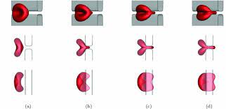 Rose tickled pink, fryer / роза тиклд пинк, фрайер. The Flow Of Red Blood Cells Through A Narrow Spleen Like Slit Physics Of Fluids Vol 25 No 11