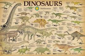 studio b smithsonian dinosaurs info chart poster 36 x 24in