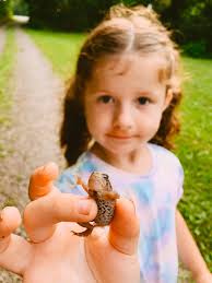 I see now why they call these things a kid.