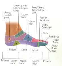 Foot Reflexology For Neck Pain And Backache