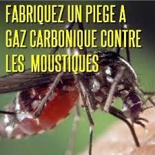 Au Lieu De Repousser Les Moustiques Attirez Les Mais Vers Vos Pieges Selectifs Le Bon Vieux Culex Pipiens D A Piege A Moustiques Moustique Moustiques Tigres