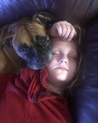 Heather Appleton, Realtor