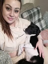 My dog doesn't like plush animals