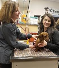 Turn to family pet veterinary service, your trusted veterinary clinic in athol, ma. An Exciting New Addition To Family Pet Hospital Longmont Veterinary Dr Abernathy
