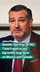 Senator Ted Cruz (R-TX): 'I don't want to see' big tariffs long-term