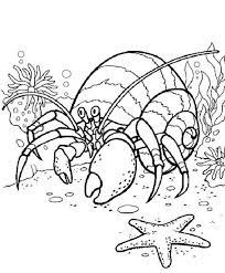 Free printable crab coloring page and download free crab coloring page along with coloring pages for other activities and coloring sheets. Pin On Coloring Pages