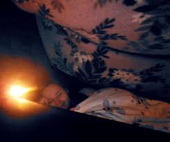 13) remove your cat one final time and place him in time out. How To Escape The Stress Of Adulthood By Building A Blanket Fort Emag Uni Augsburg