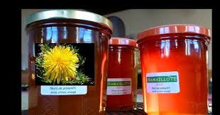 Sus Au Petit Cramaillot Joli Fleur De Pissenlit Pour Une Delicieuse Gelee Pissenlit Fleur De Pissenlit Cuisine Sauvage