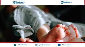 Angkan saja, hanya dengan pipa ledeng dan raymondmemotong kalimat lisa setelah tau maksud kalimat yang sulit diucapkan wanita itu. 20 Nama Bayi Laki Laki Lahir Di Bulan Syawal Bermakna Arti Pemberani Tegas Cerdas Kemenangan Tribun Sumsel