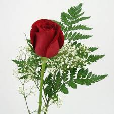 Aug 07, 2019 · set your flower budget: Pre Made Flower Bouquets Bulk Wholesale Blooms By The Box