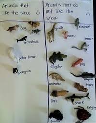 8 Hibernation And Migration Ready To Go Resources Teach Junkie
