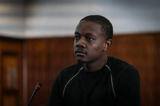 UPDATE | Bellarmine Mugabe fined R600 000, to be deported after Hyde Park shooting | News24