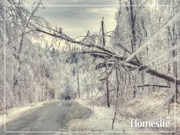 Get a quick and need renters insurance? Homesite Insurance Posts Facebook