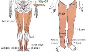 Check spelling or type a new query. Hip Origin Points Origin Point Medicine