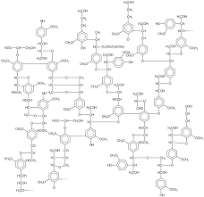Check spelling or type a new query. Lignin Wikipedia