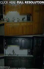 Nuvo Cabinet Paint Before And After Agooeni Info