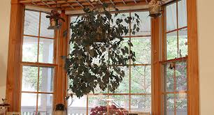 We did not find results for: How Do You Dress A Window Windows And More