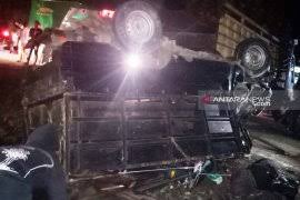 Untuk mencegah pertumpahan darah, babi hutan itu akan dibius. Heboh Babi Hutan Masuk Area Masjid Dan Serang Warga Hingga Terluka Antara News Bengkulu