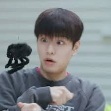 Leanne Dooley (littlerabbit298)