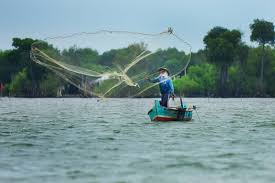 Please copy and paste this embed script to where you want to embed. Alat Penangkapan Ikan Ramah Lingkungan Infokelautan