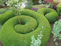 Tuin T Hof Aerdt Nl By Loic Tasquier Via Flickr Beautiful Gardens Topiary Garden Hedges