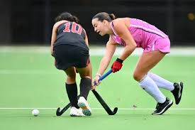 Image result for Emilia hockii