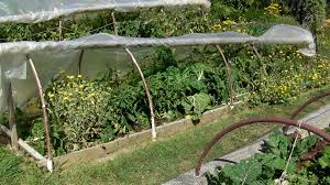 Diy deer proof raised garden bed plans i recommend you to check if the components are locked into place properly and structure is rigid enough. Extended Season Gardening Adventures In Natural Beekeeping