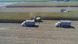 DKC67-42 in Merced, CA