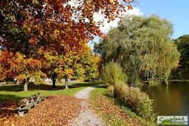 Herbst Am Teich Sundern Allendorf Im Sauerland Sehenswurdigkeiten Deutschland Sauerland Ausflug