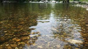 Use the old pot to gather polluted water, place it on a lit basic fire or fire pit. Clean Water View At Polo Forest Picture Of Polo Forest Gujarat Tripadvisor