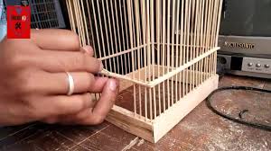 Lovebirds adalah jenis burung beo kecil dengan beragam warna cerah cantik yang hidup di alam liar tetapi memiliki banyak mutasi warna pada varietas yang dikembangbiakkan sebagai hewan peliharaan. Membuat Sangkar Burung Tempat Kreativitas